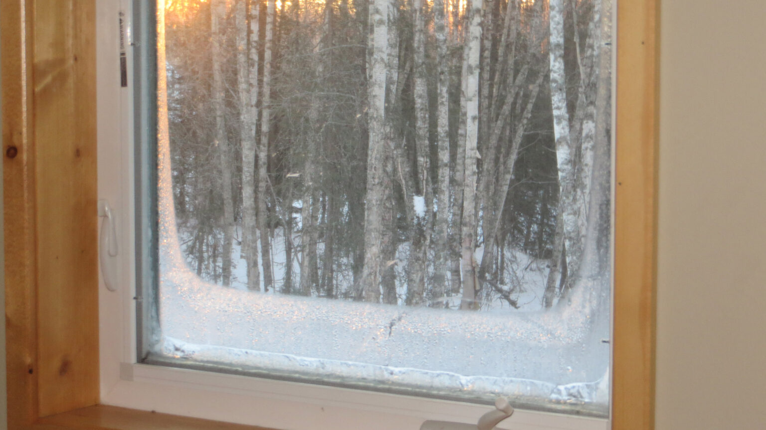 What Causes Window Condensation Arcana Windows & Doors