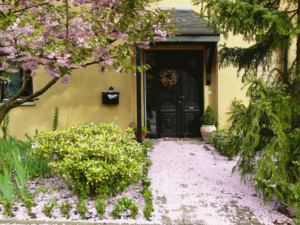 house entrance with flowering beds 830