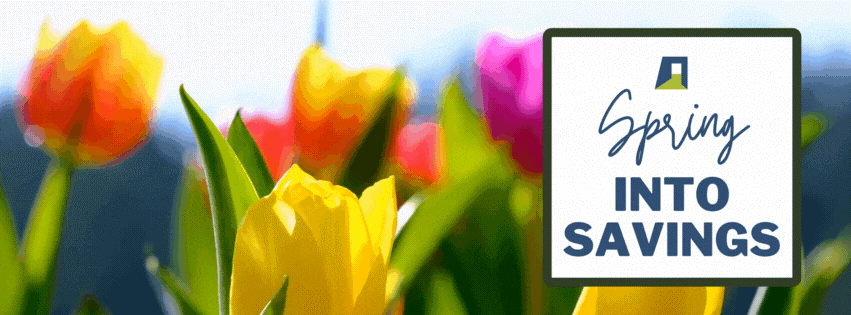 Spring into Saving for Windows & Doors Replacement Services